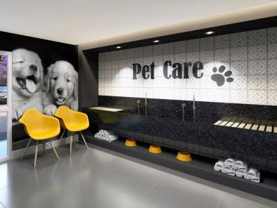 Imagem - Pet care